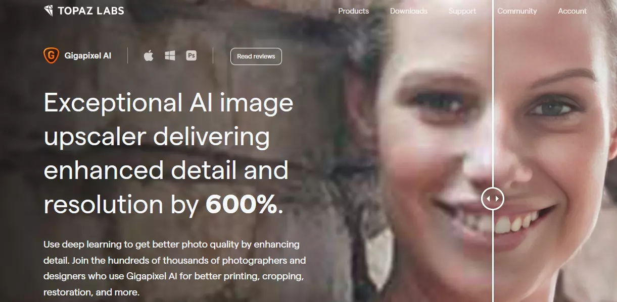 The 12 Best AI Image Upscaler In 2023 - Gigapixel AI Topaz Labs Gigapixel AI (Topaz Labs)