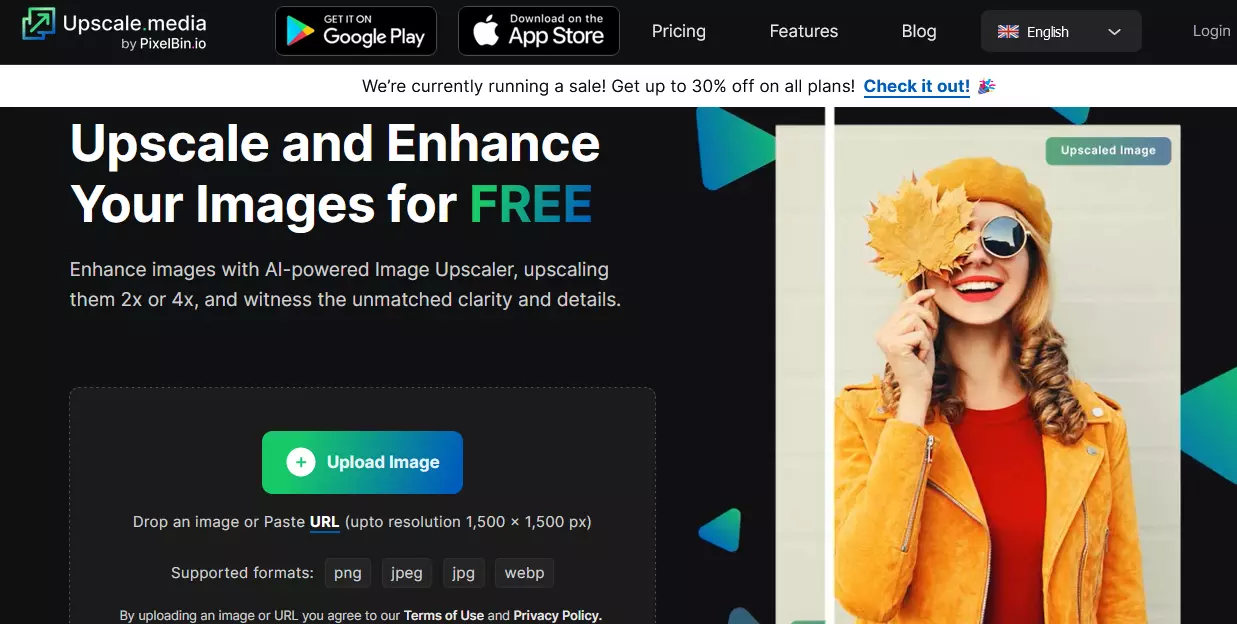 The 12 Best AI Image Upscaler In 2023 - upscale.media upscale.media